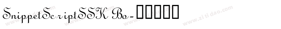 SnippetScriptSSK Bo字体转换